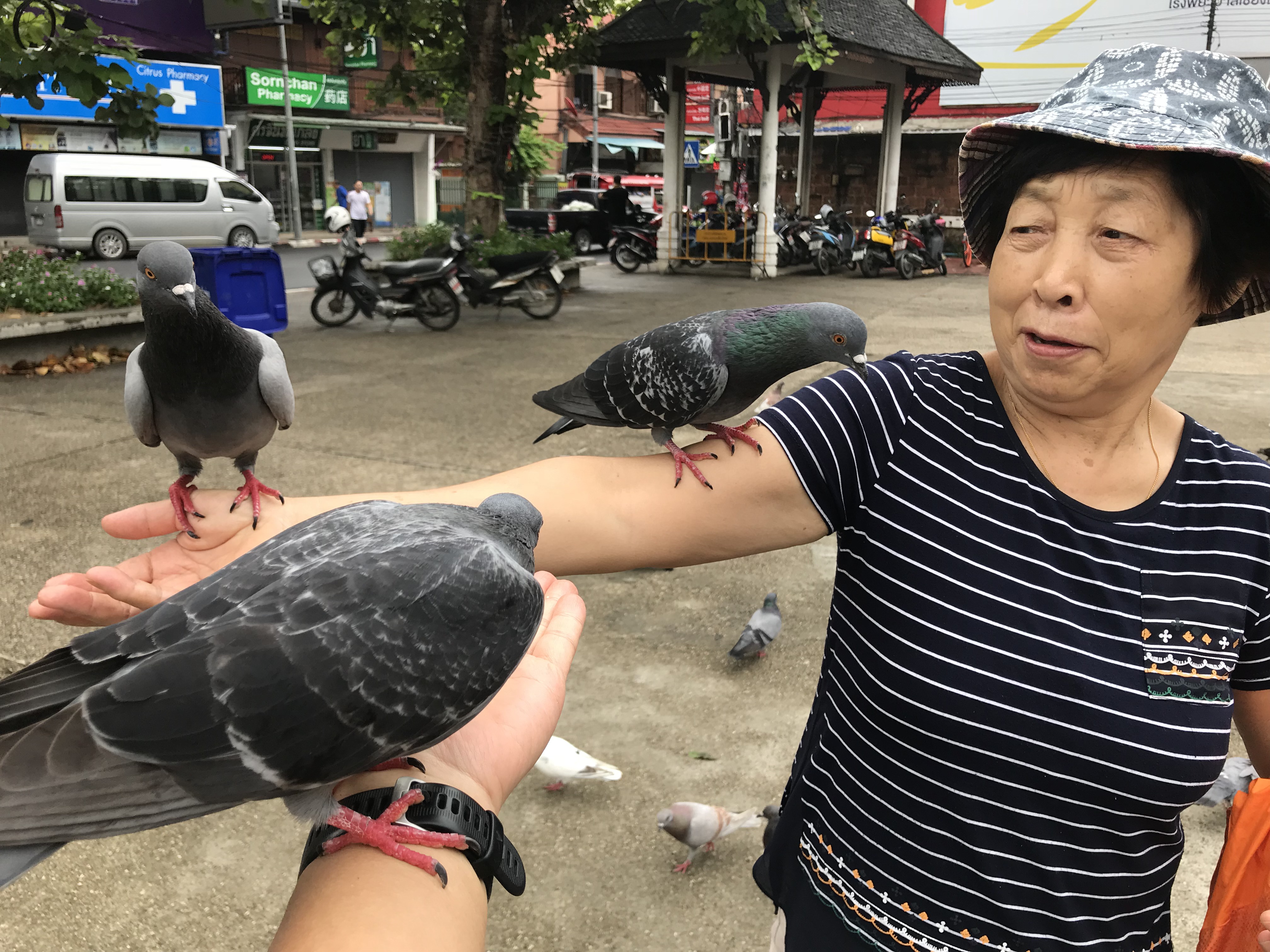 清迈 - 照片 3 / Chiang Mai Photo 3