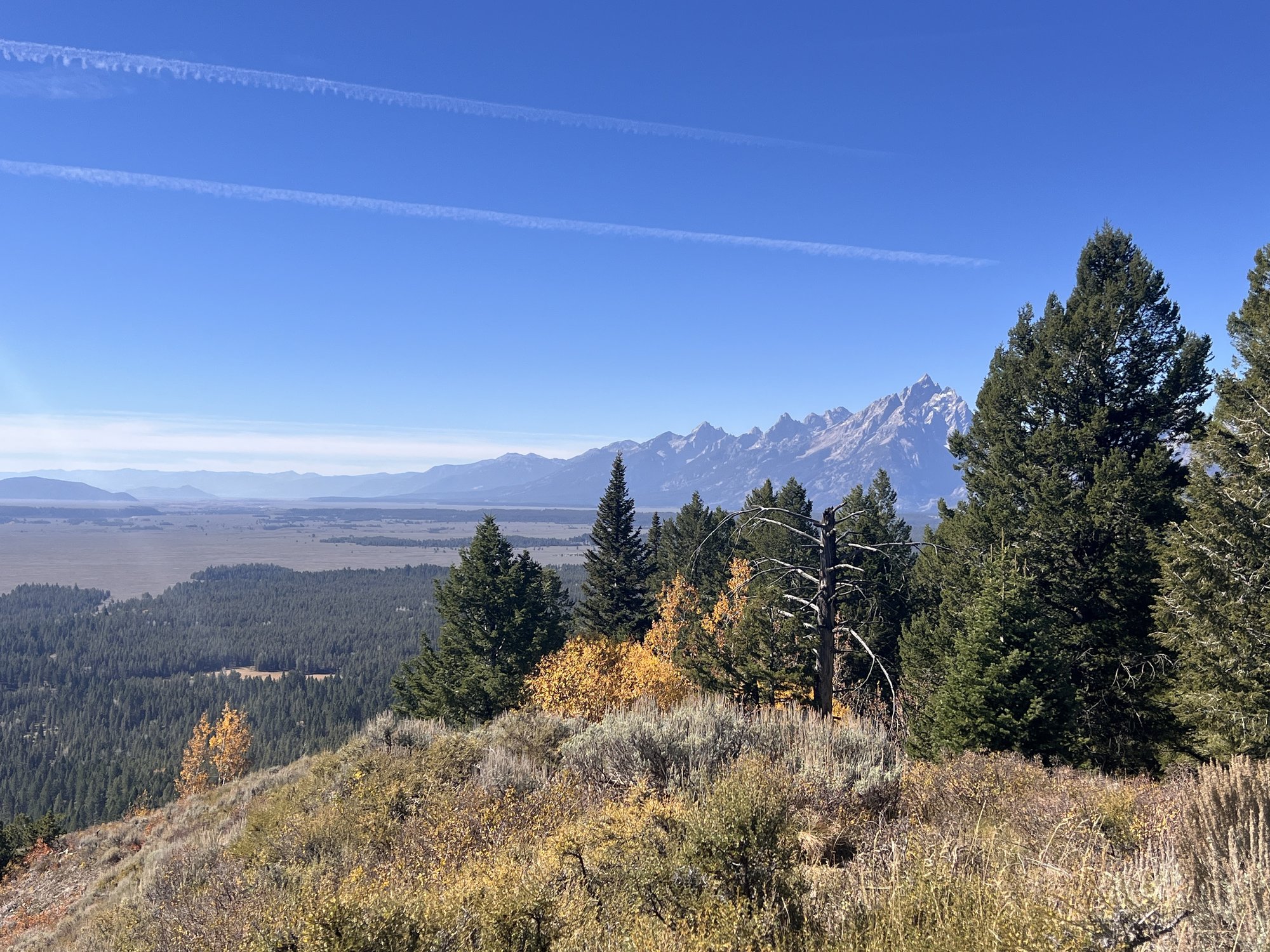 大提顿国家公园 - 照片 6 / Grand Teton National Park Photo 6