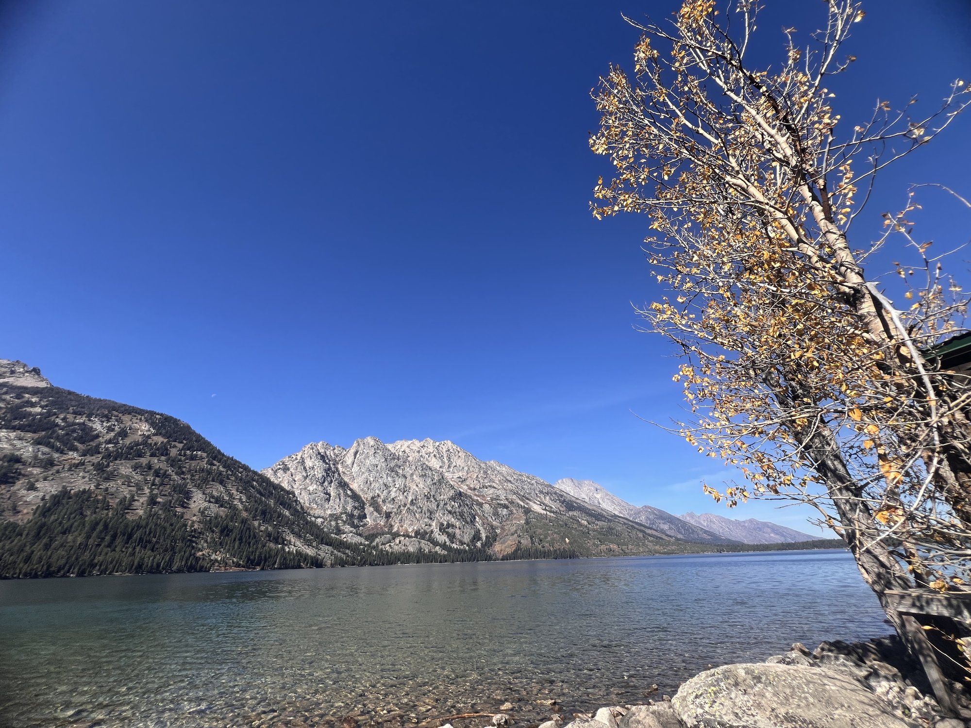 大提顿国家公园 - 照片 9 / Grand Teton National Park Photo 9