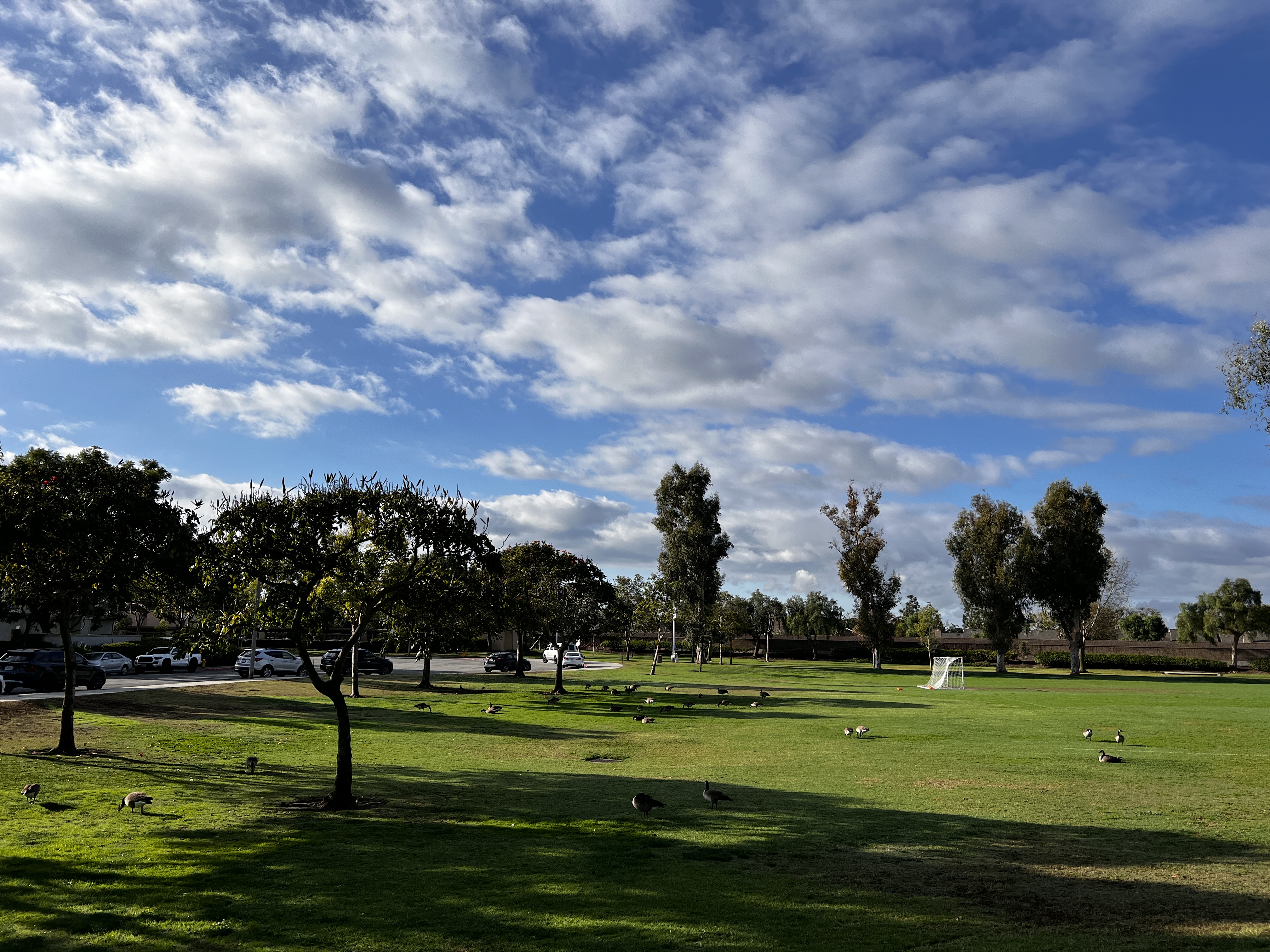 尔湾 - 照片 4 / Irvine Photo 4