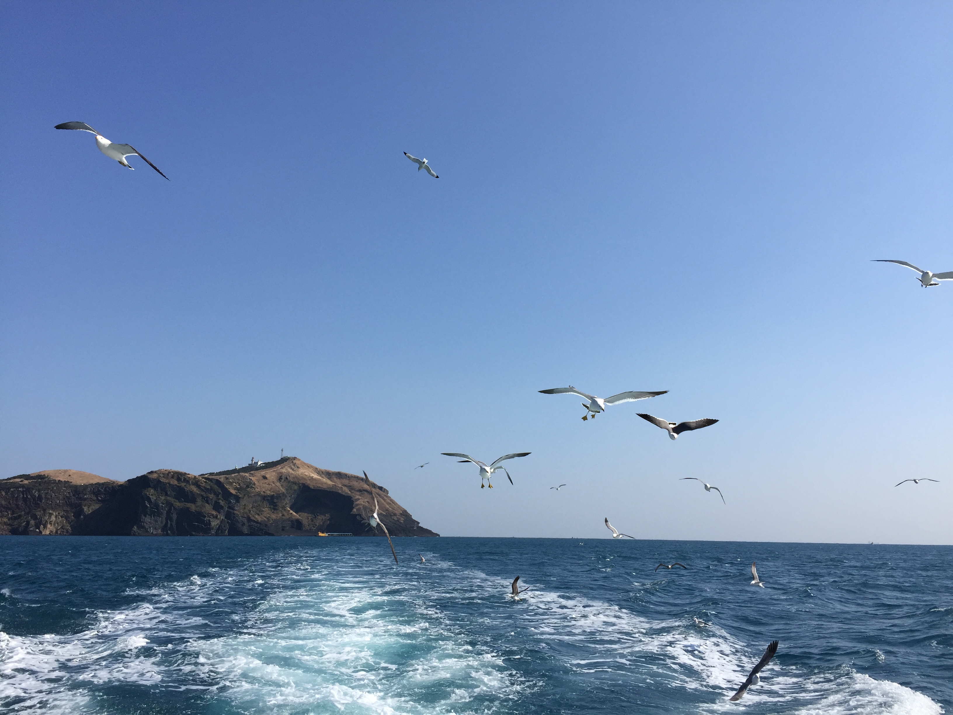 济州