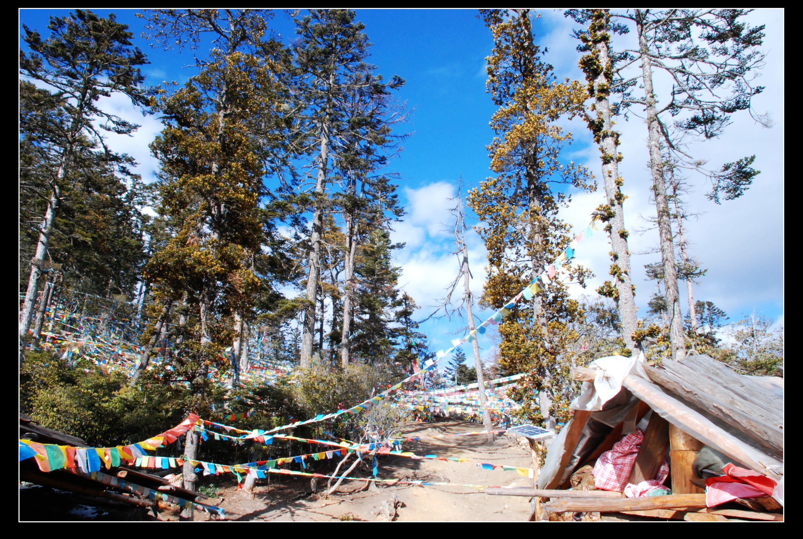 丽江-梅里雪山 - 照片 15 / lijiang Photo 15