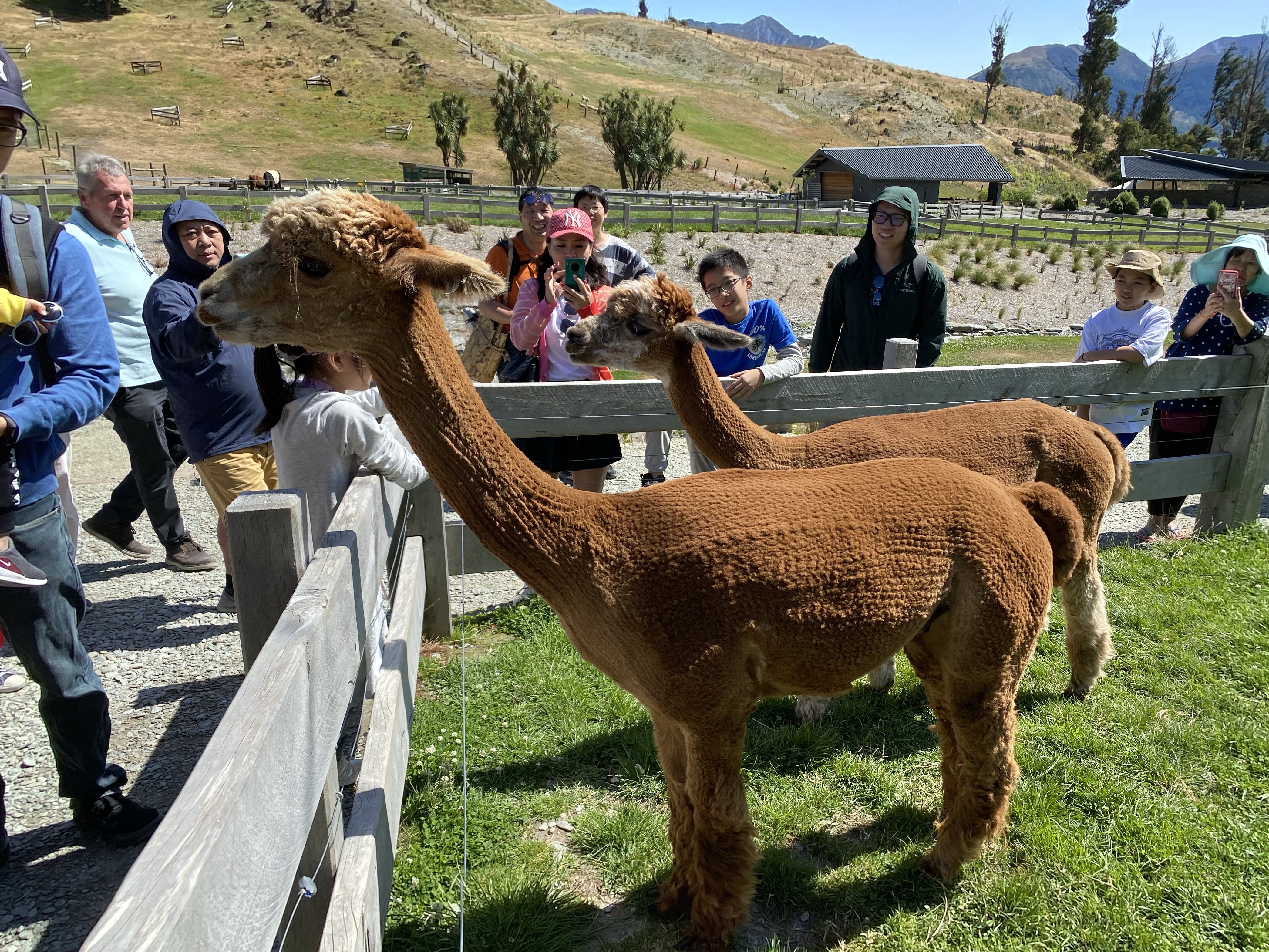皇后镇 - 照片 2 / Queenstown Photo 2