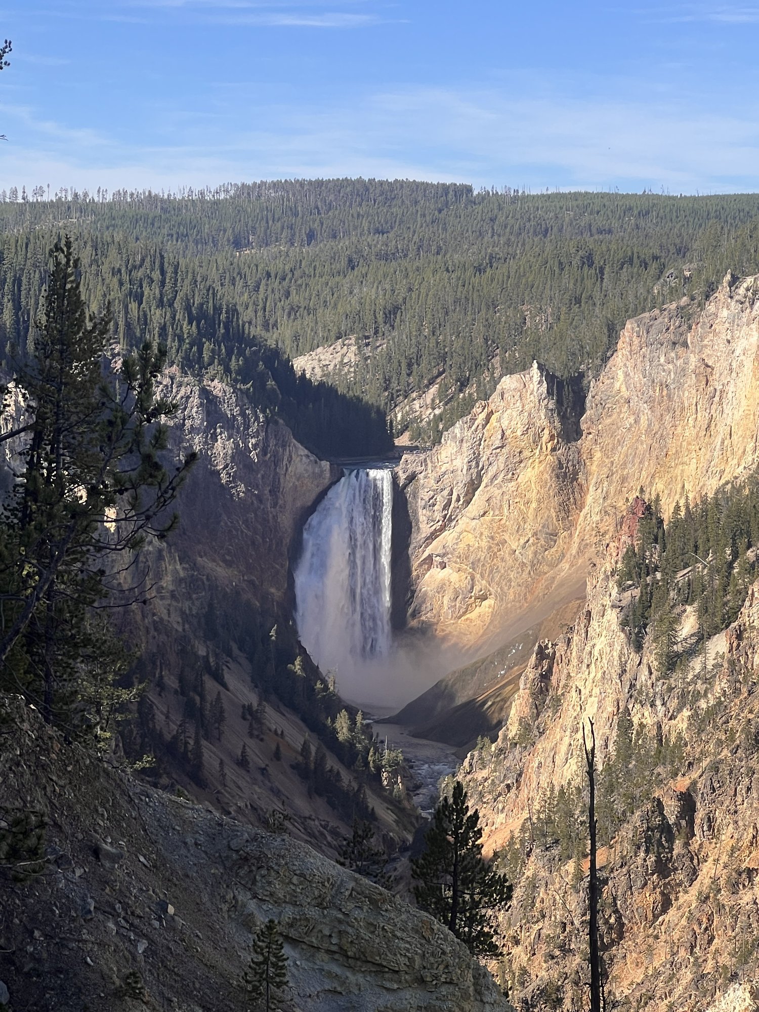黄石国家公园 - 照片 15 / Yellowstone National Park Photo 15
