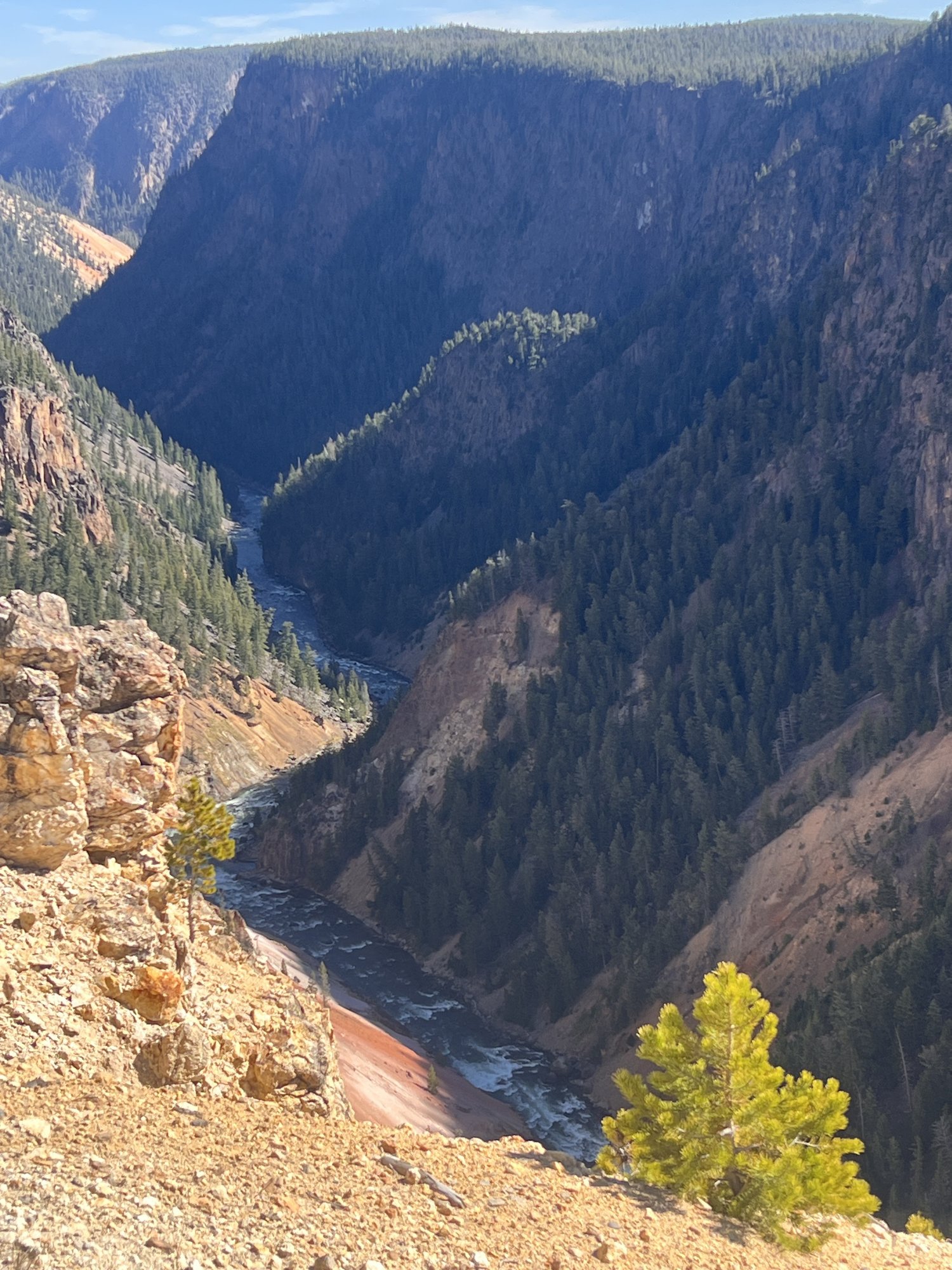 黄石国家公园 - 照片 16 / Yellowstone National Park Photo 16