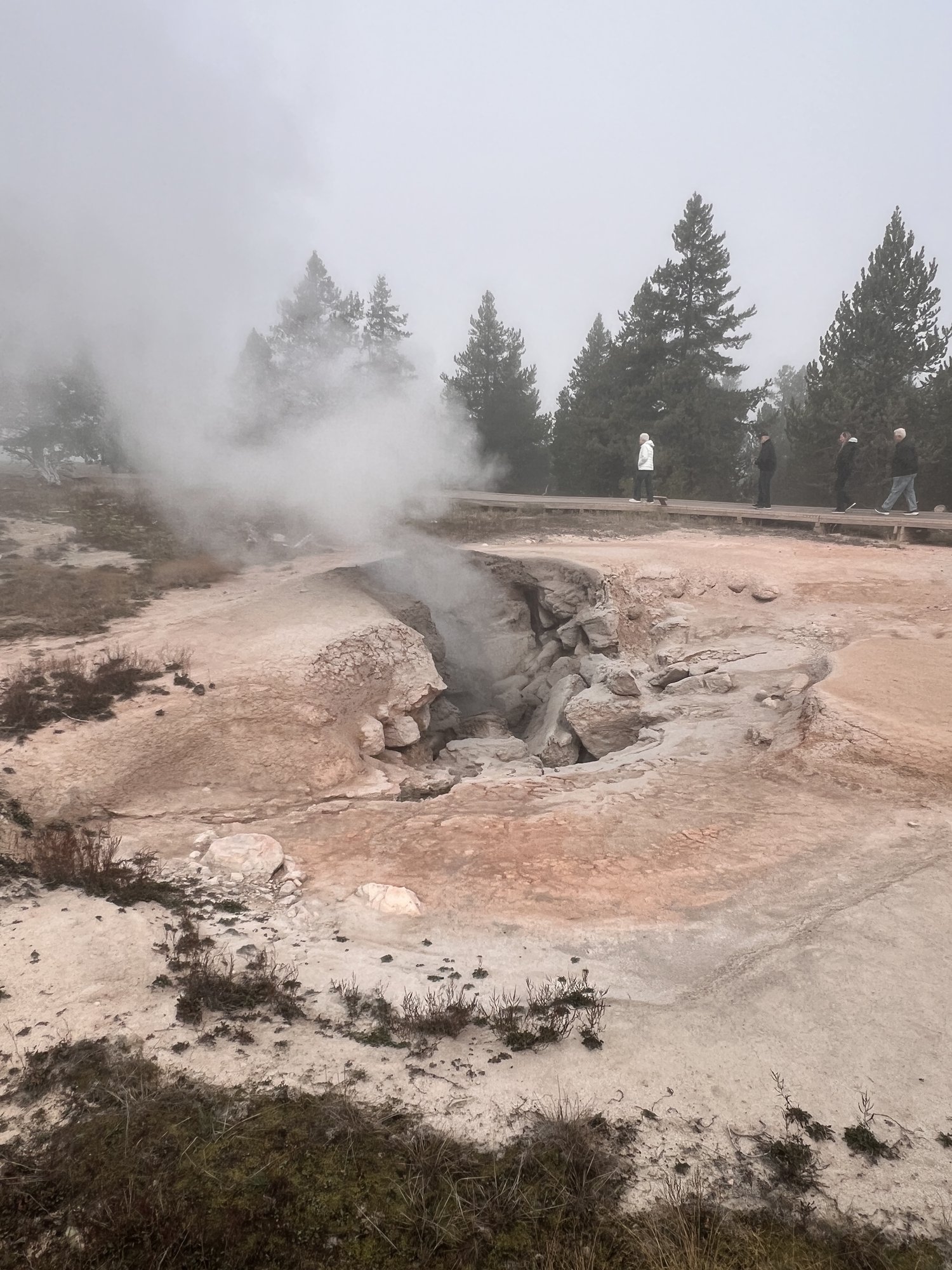 黄石国家公园 - 照片 4 / Yellowstone National Park Photo 4