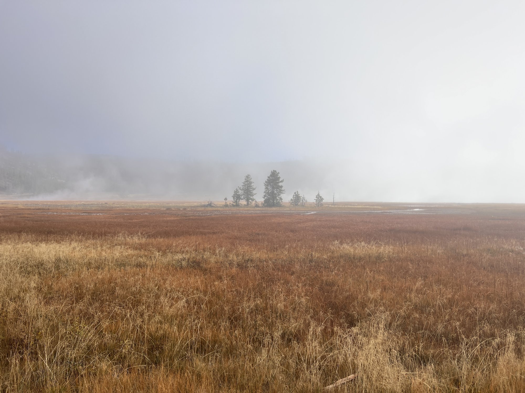 黄石国家公园 - 照片 5 / Yellowstone National Park Photo 5